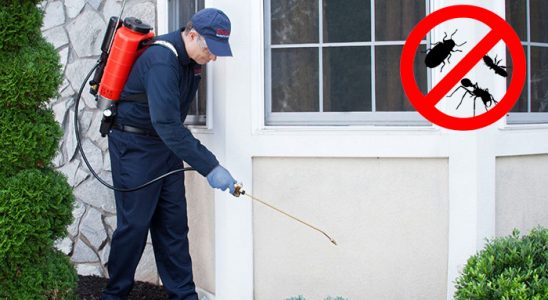 Başmakçı Akrep İlaçlama böcek ilaçlama ve haşere kontrolü — ilaclama-tr.com